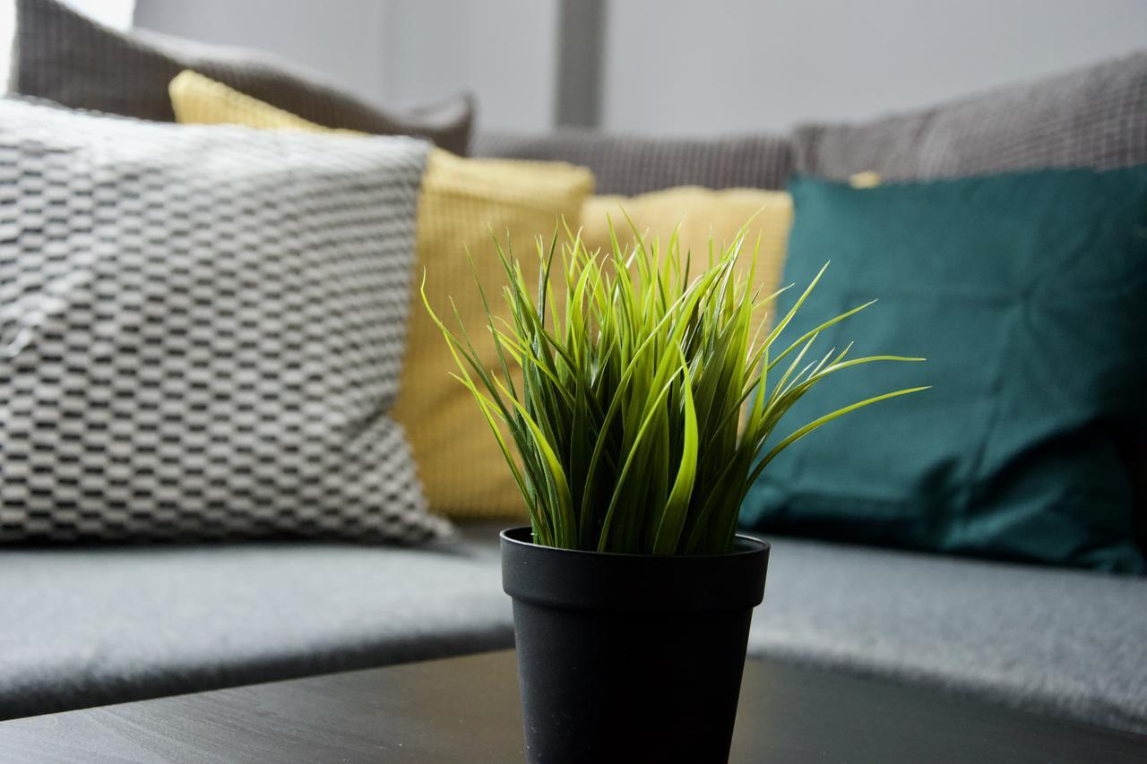 Standard Apartment By Hi5 - Asboth 15 Budapest Exteriör bild